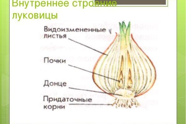 Как найти мегу в торе